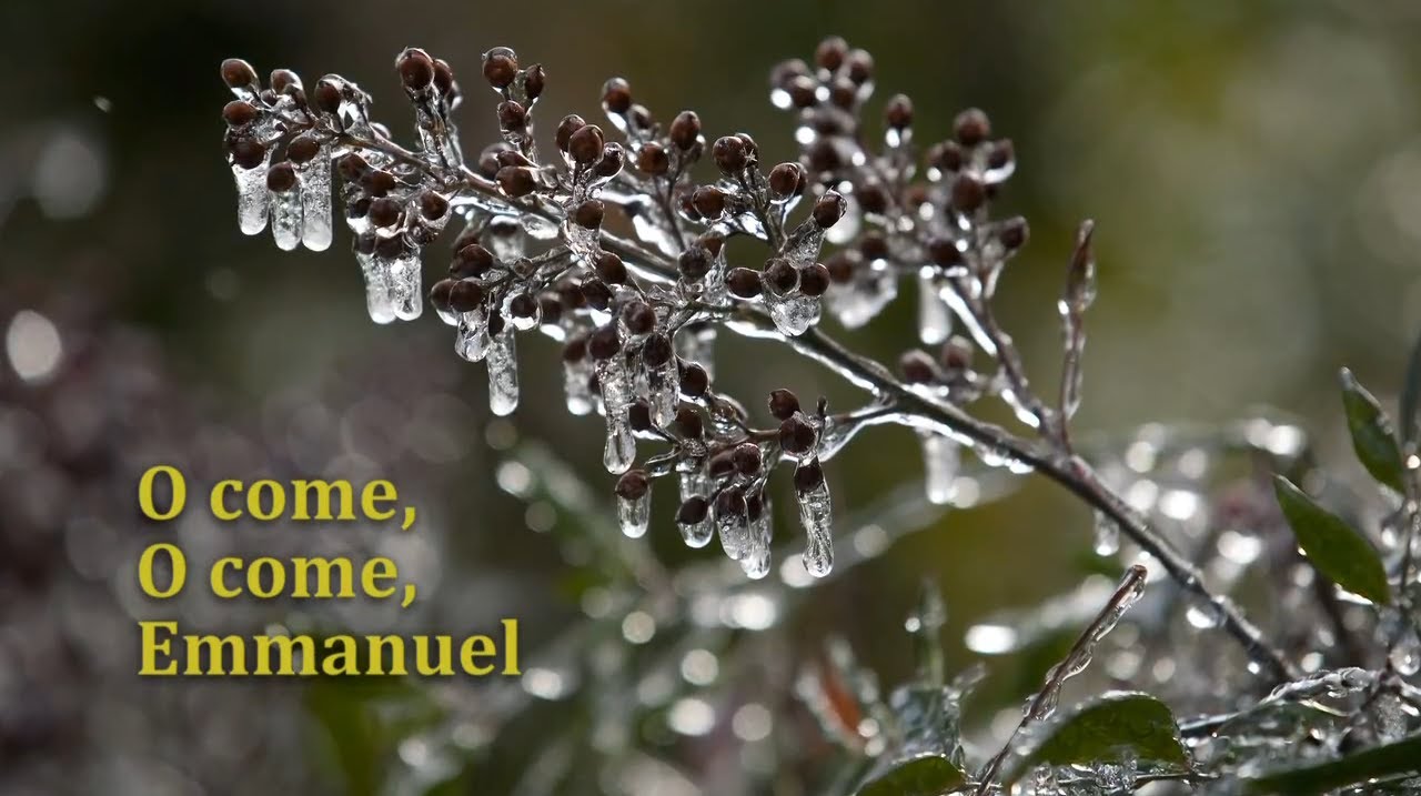 O Come O Come Emmanuel