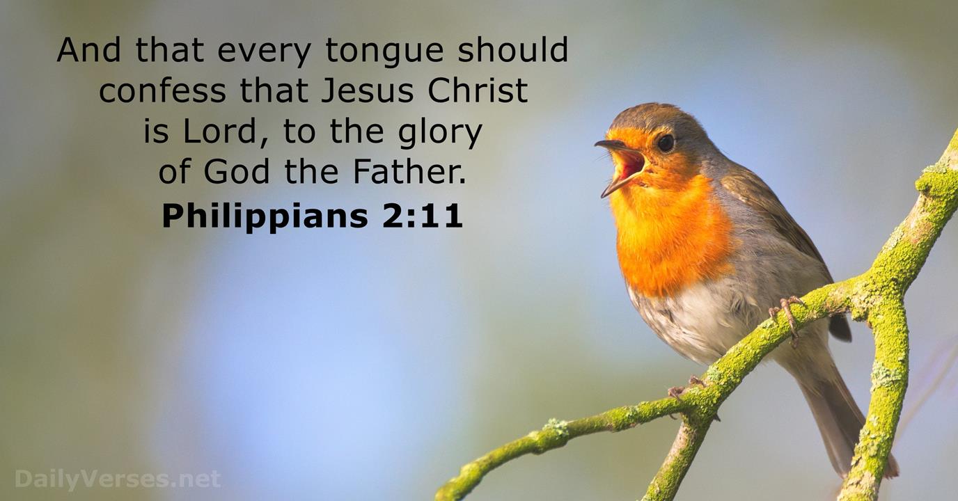 Glory to God in the Lowest…and Highest