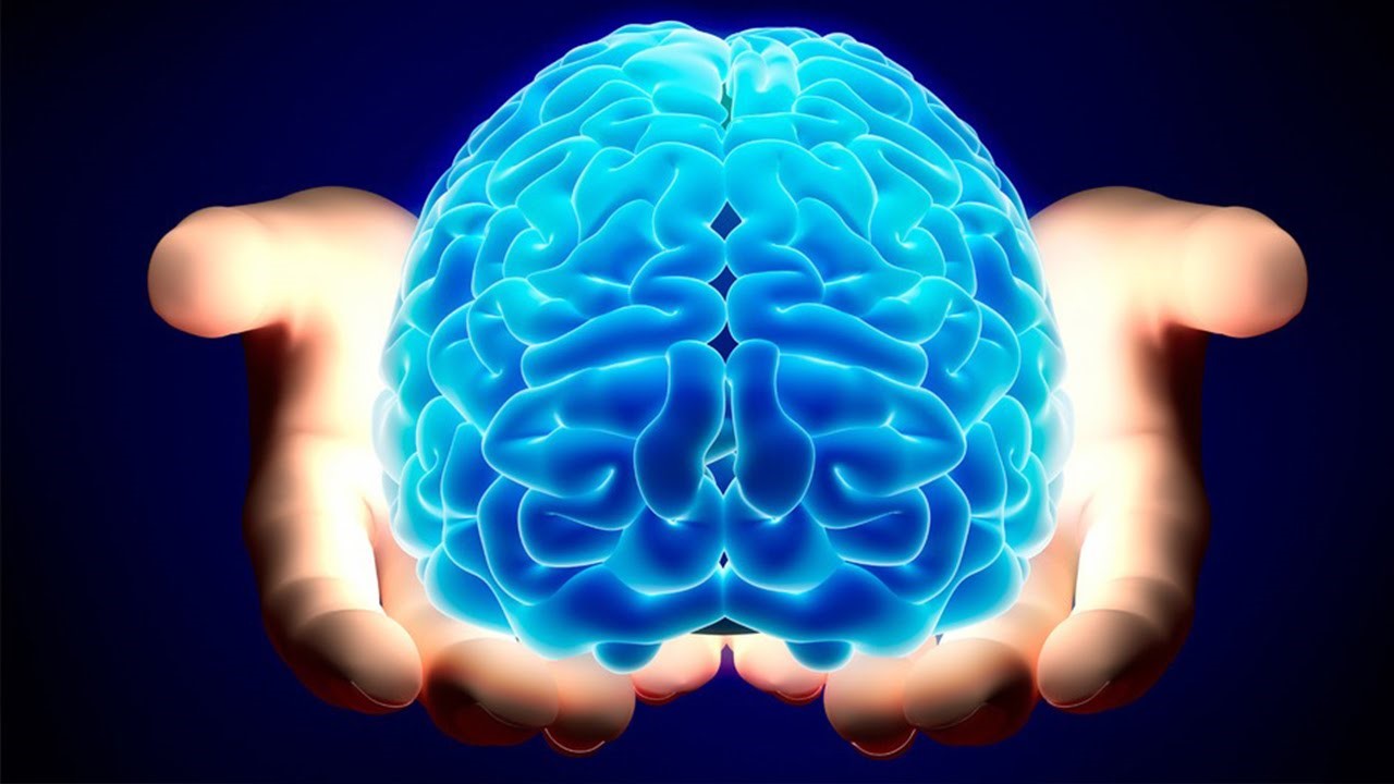 The Brain Game