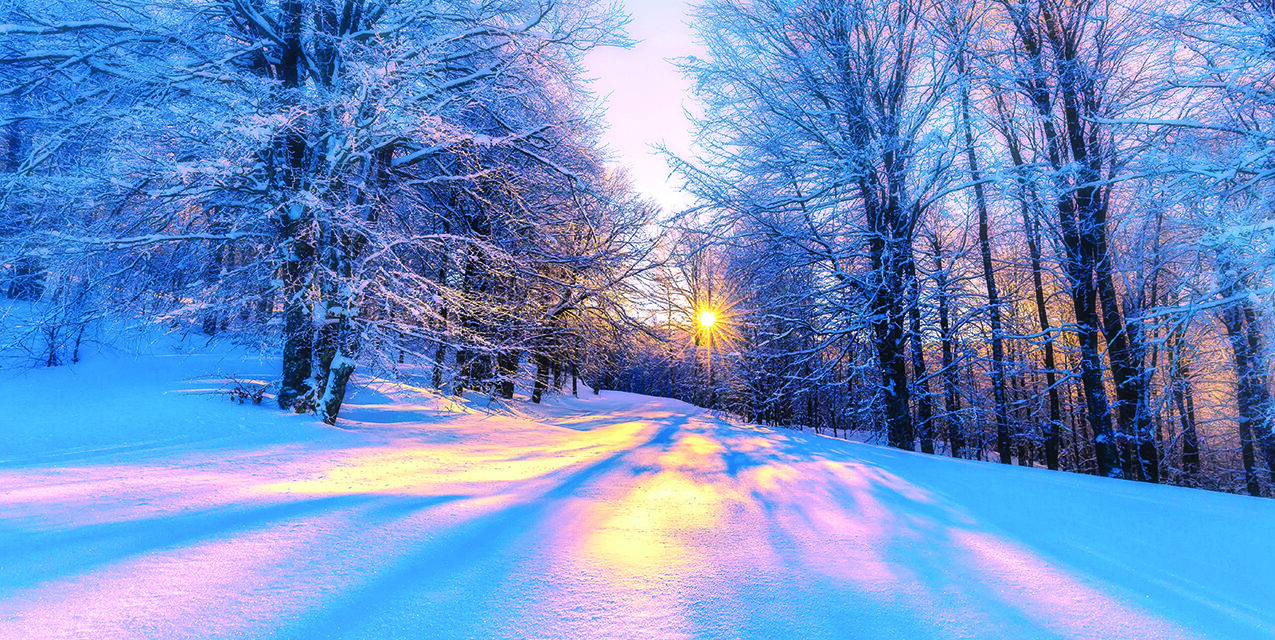 In the Bleak Mid-Winter